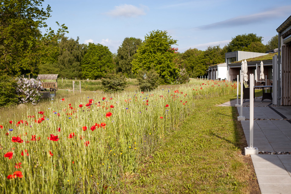 Hospice Sydfyn sommer 2022